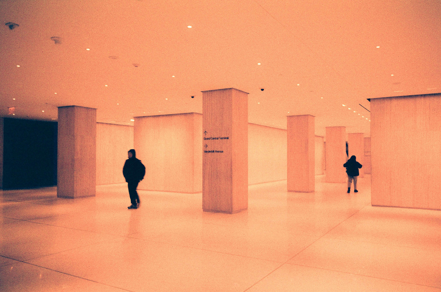 Harman Red 125 captures an empty modern hallway with warm tones.
