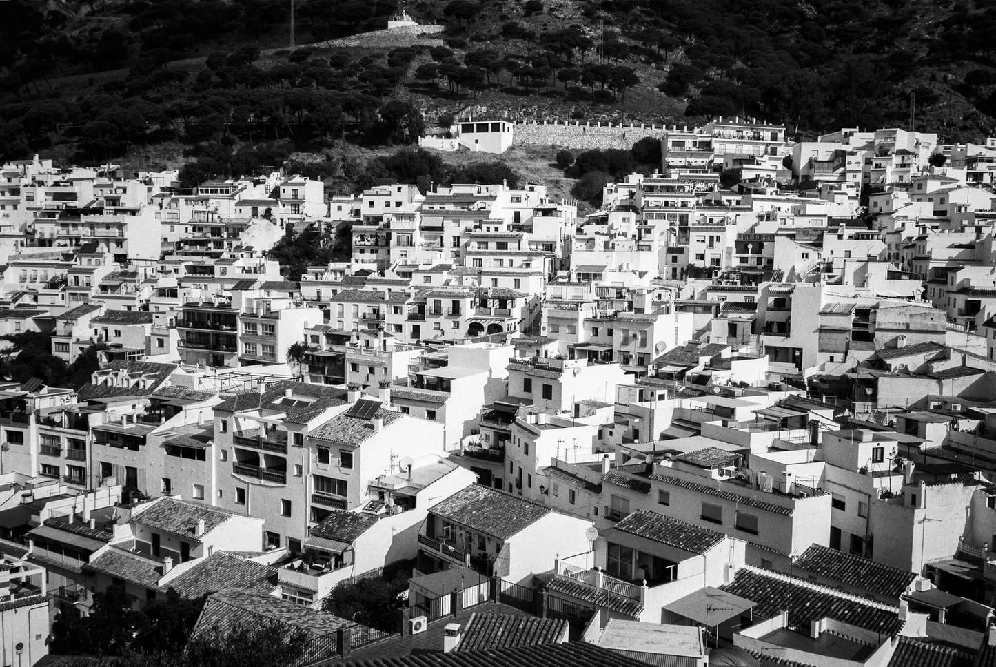 Ilford Delta 100 35mm film example image