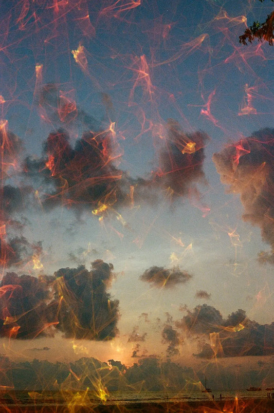 Revolog Echo 35mm film sample image