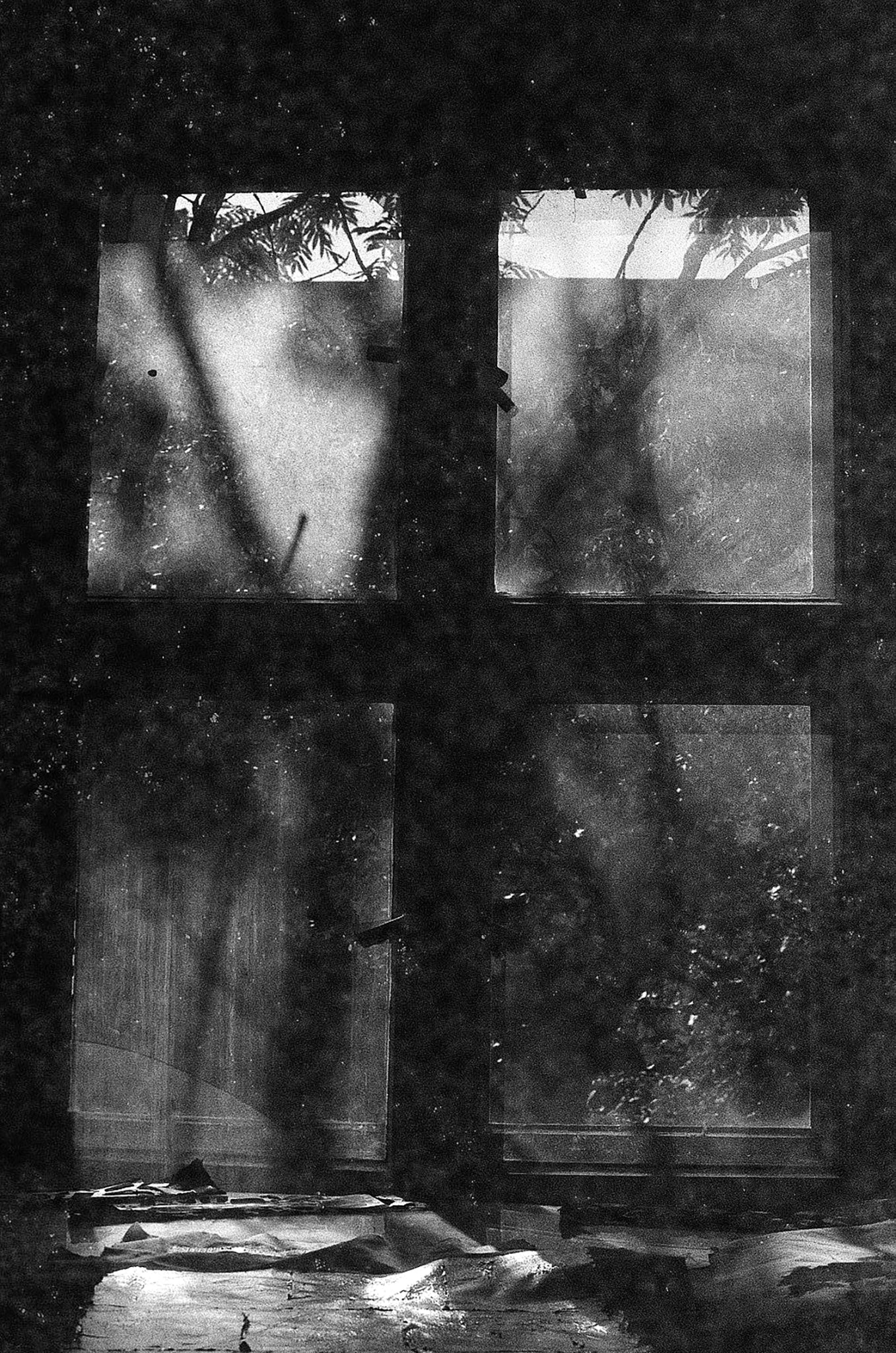 Revolog Paper 35mm film sample image