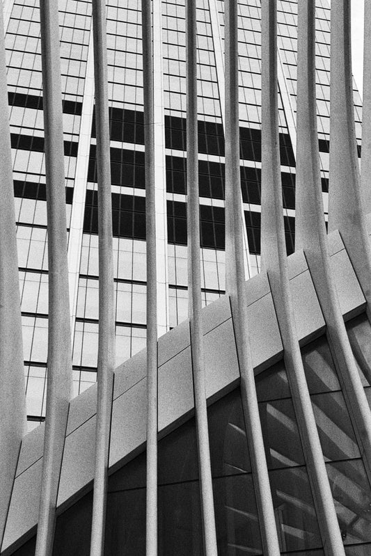 Kodak Tri-X 400 Single-Use Camera (27 Exposures) capturing modern architecture in black and white monochrome.