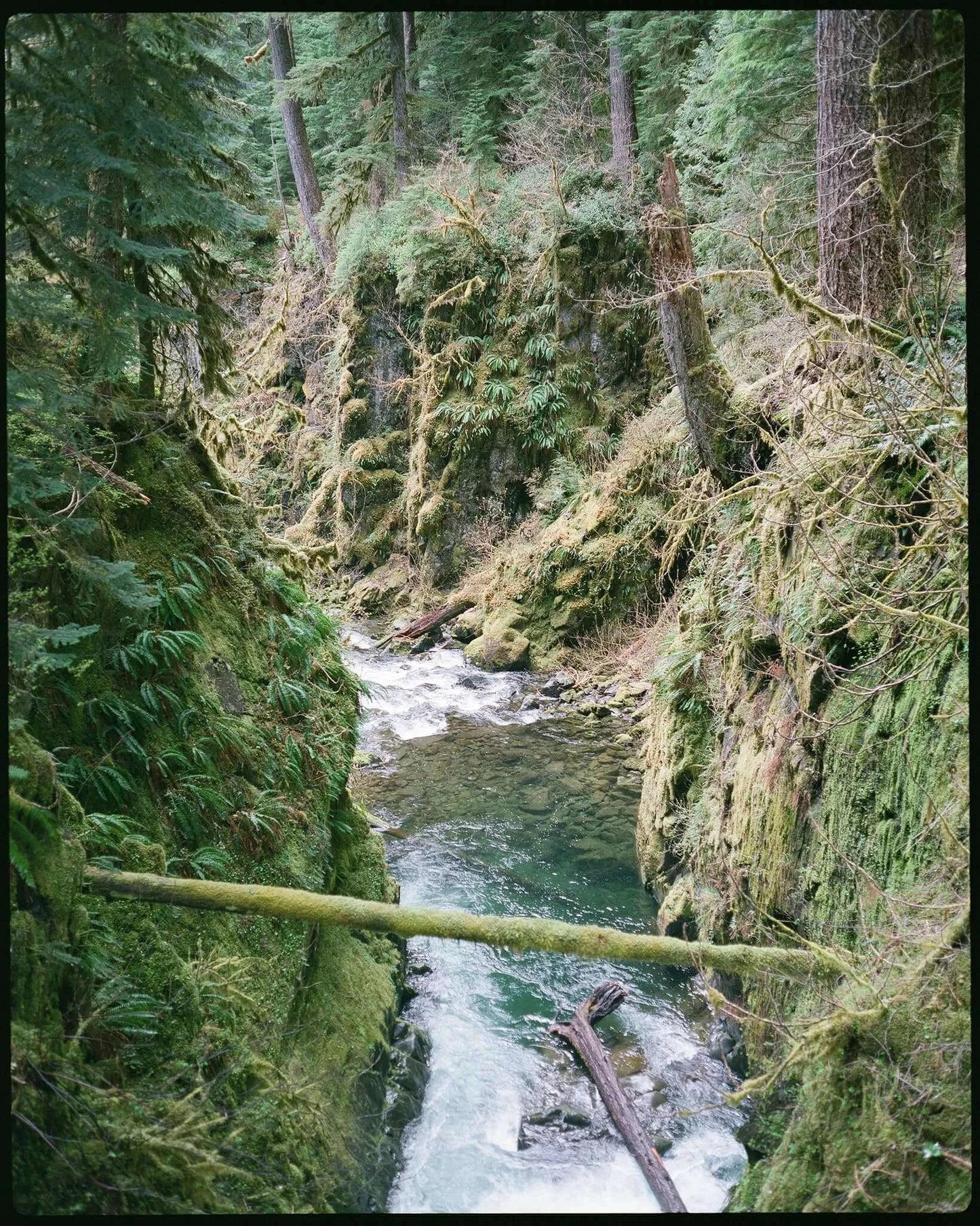 Fujifilm Pro 400H medium format film sample image 6x7