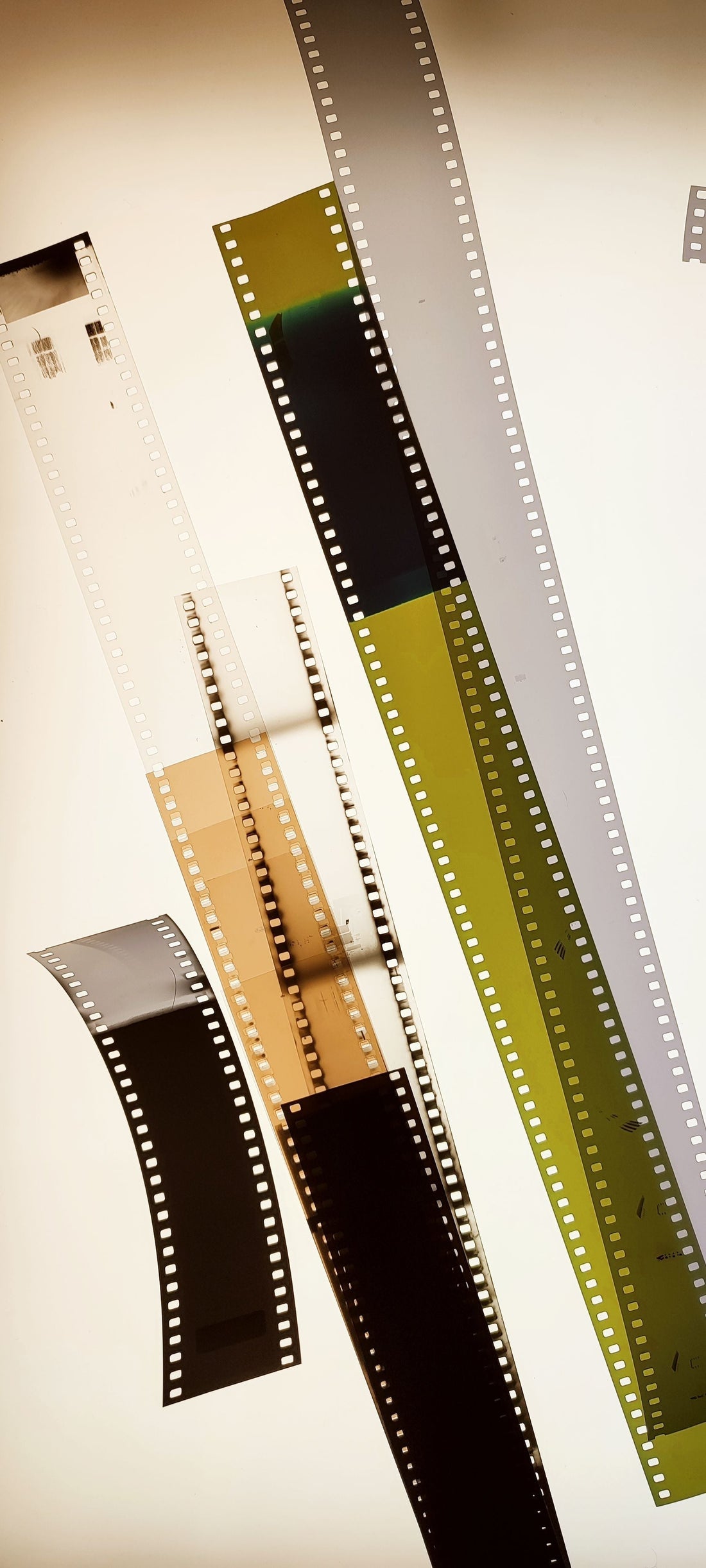 Why Did My Film Come Back Blank showing various film strips in different colors and shapes.