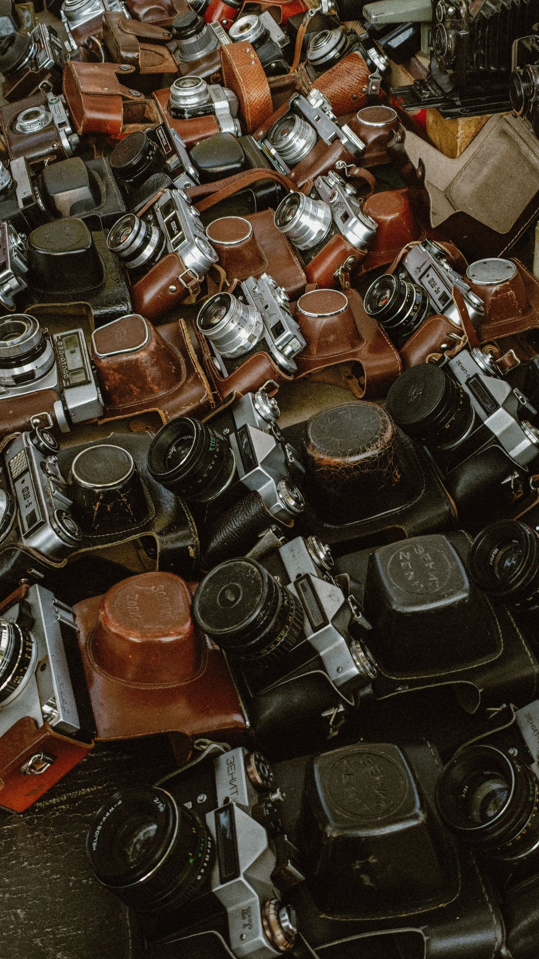 Collection of vintage cameras showcasing the art of shooting with vintage cameras.