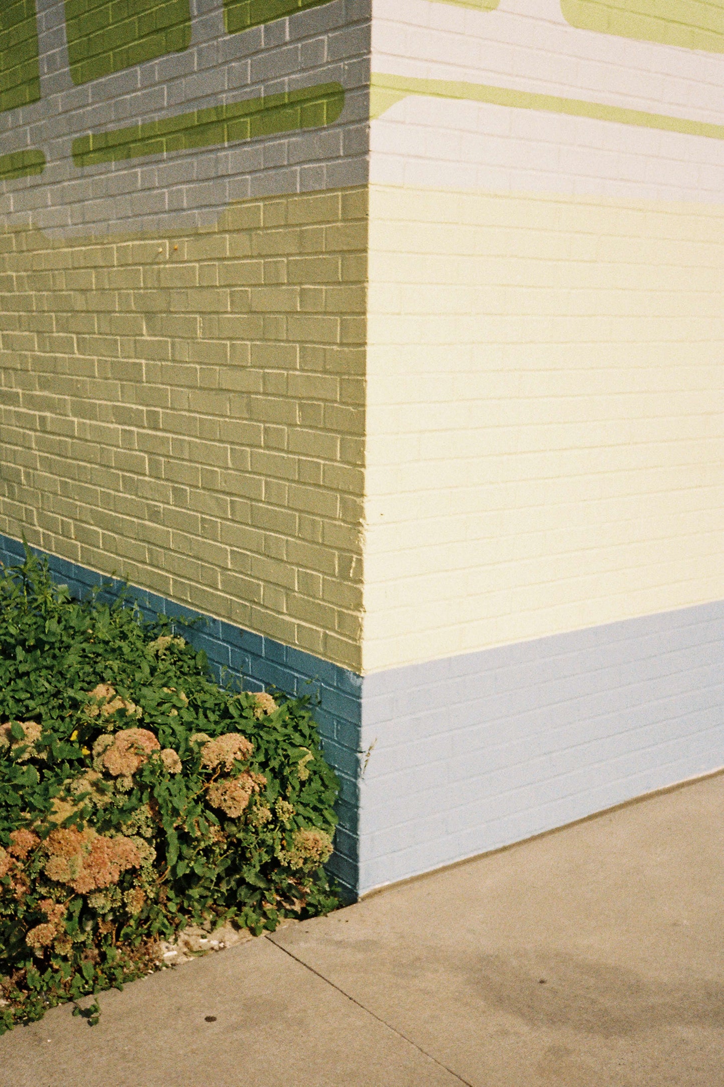Colorful brick wall corner with green and yellow tones, surrounded by lush green foliage.