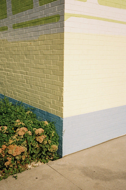 Colorful brick wall corner with green and yellow tones, surrounded by lush green foliage.