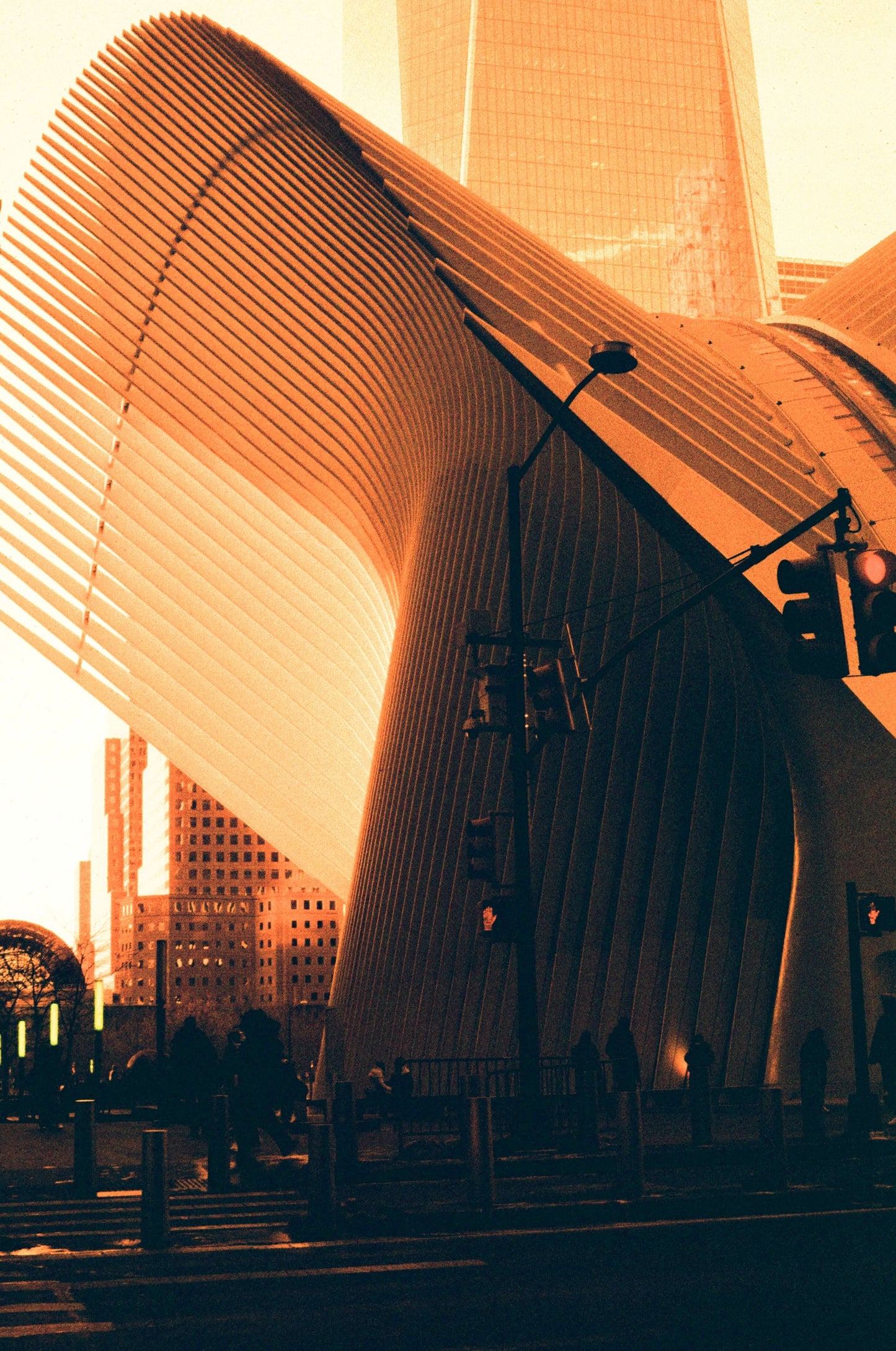 Harman Red 125 photograph of architectural design.