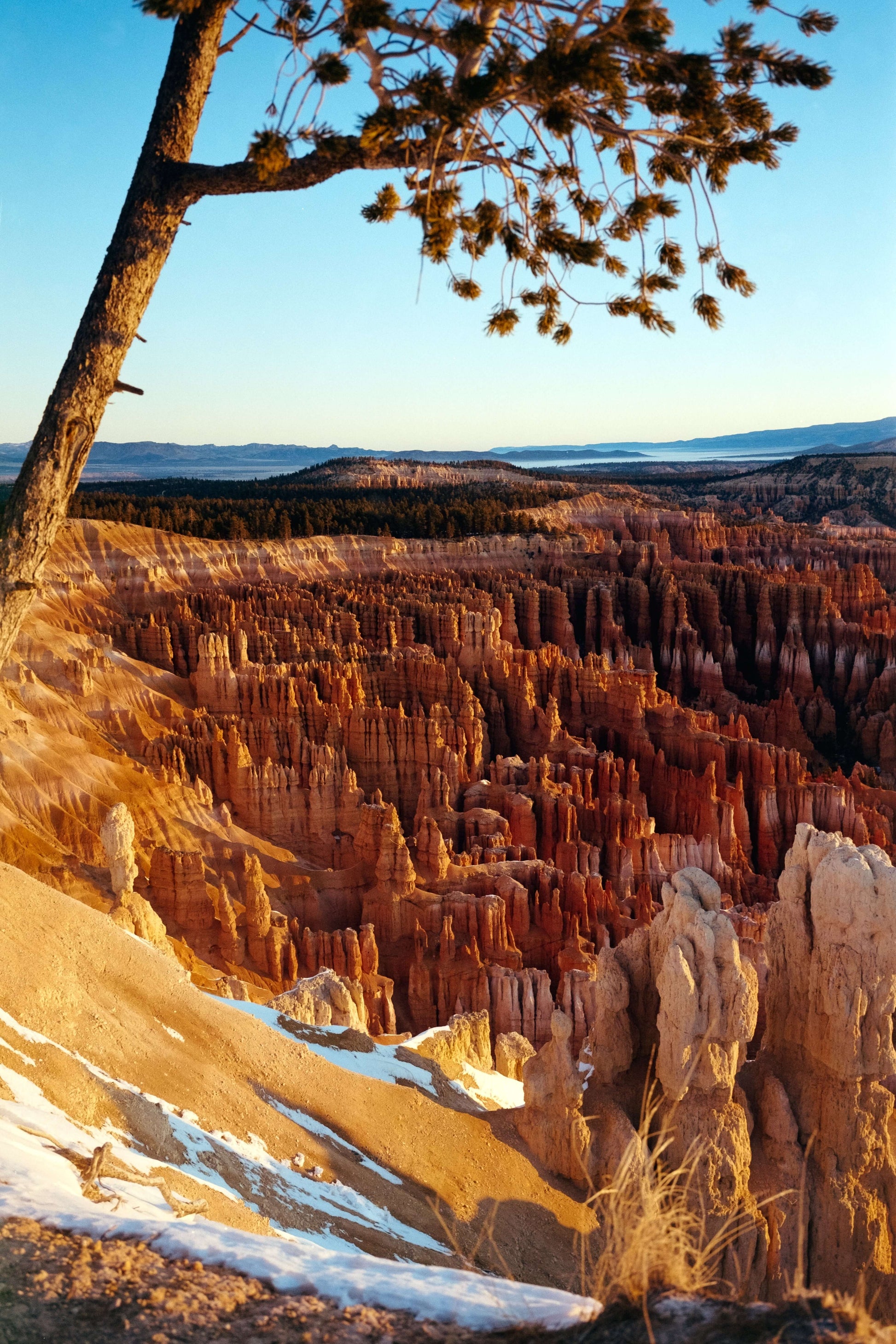 Scenic view of Bryce Canyon with unique rock formations at sunset, showcasing orange and red hues.