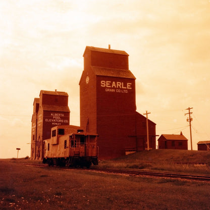 Harman Red 125 color negative film photo of grain elevators and train in sepia tones.