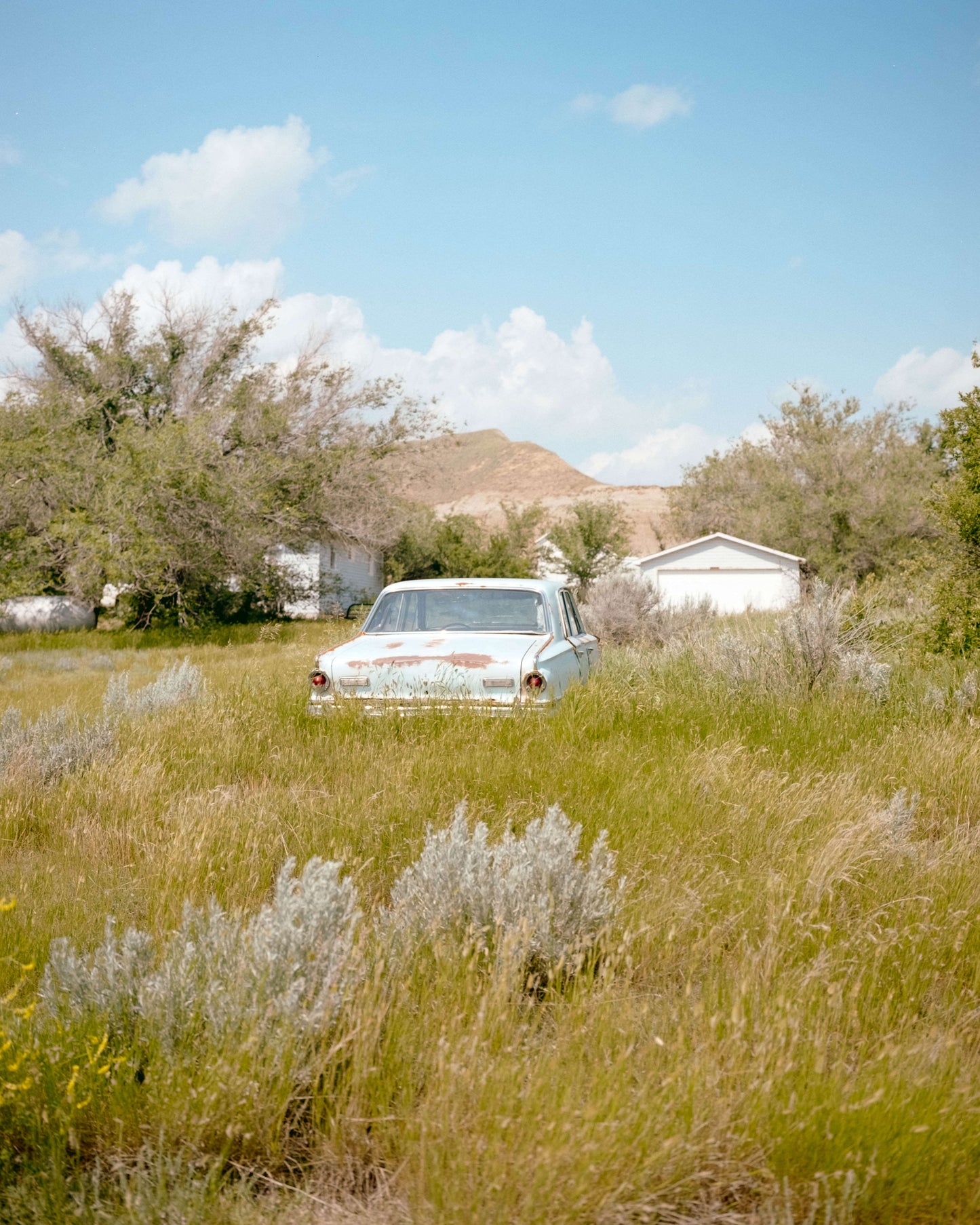 Abandoned car in a grassy field with trees and abandoned houses in the background under a blue sky.