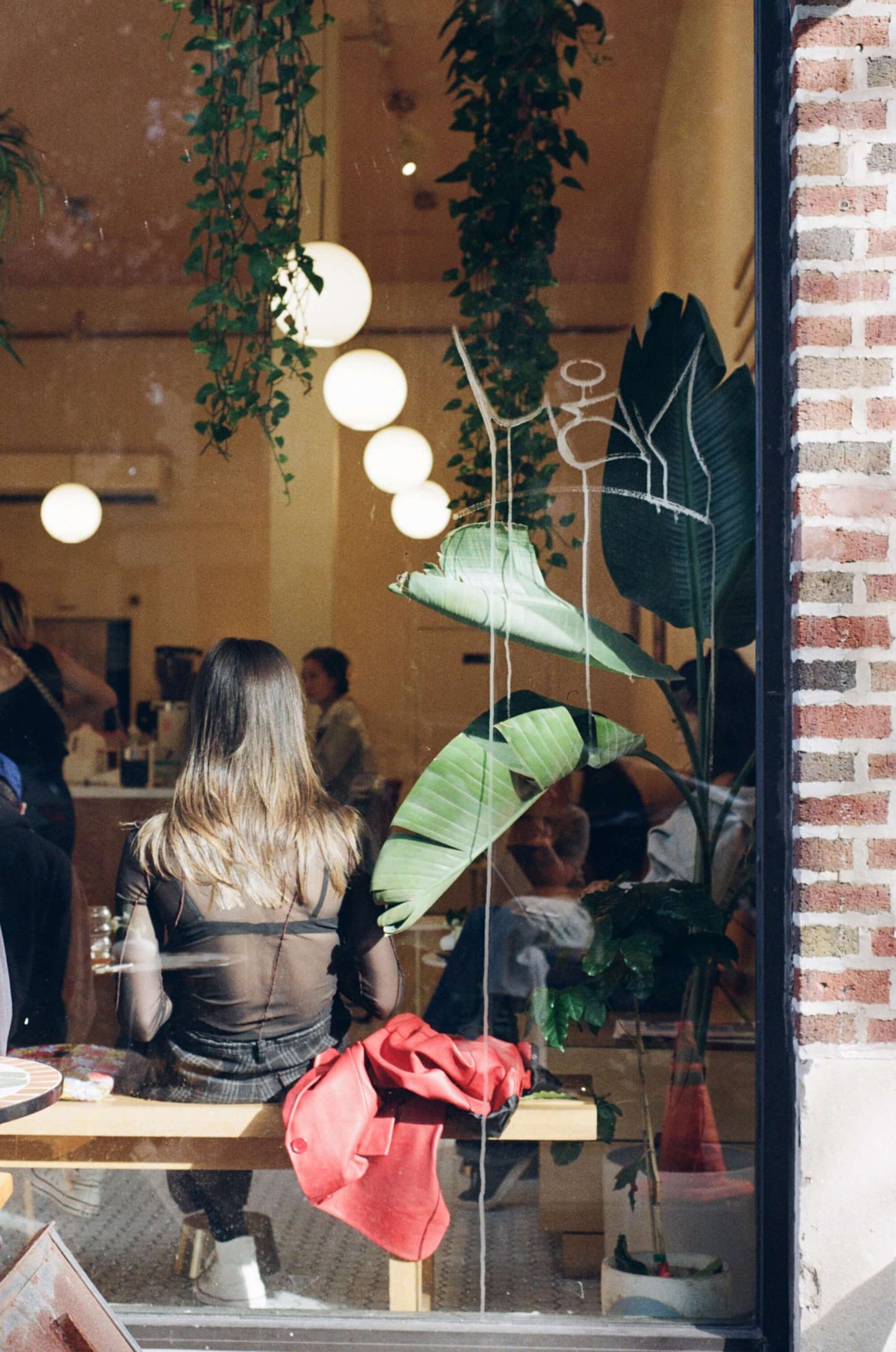 Person seated in a cafe with greenery, shot or captured with Kodak Kodacolor 200 Color Negative Film (35mm, 36 Exposures).