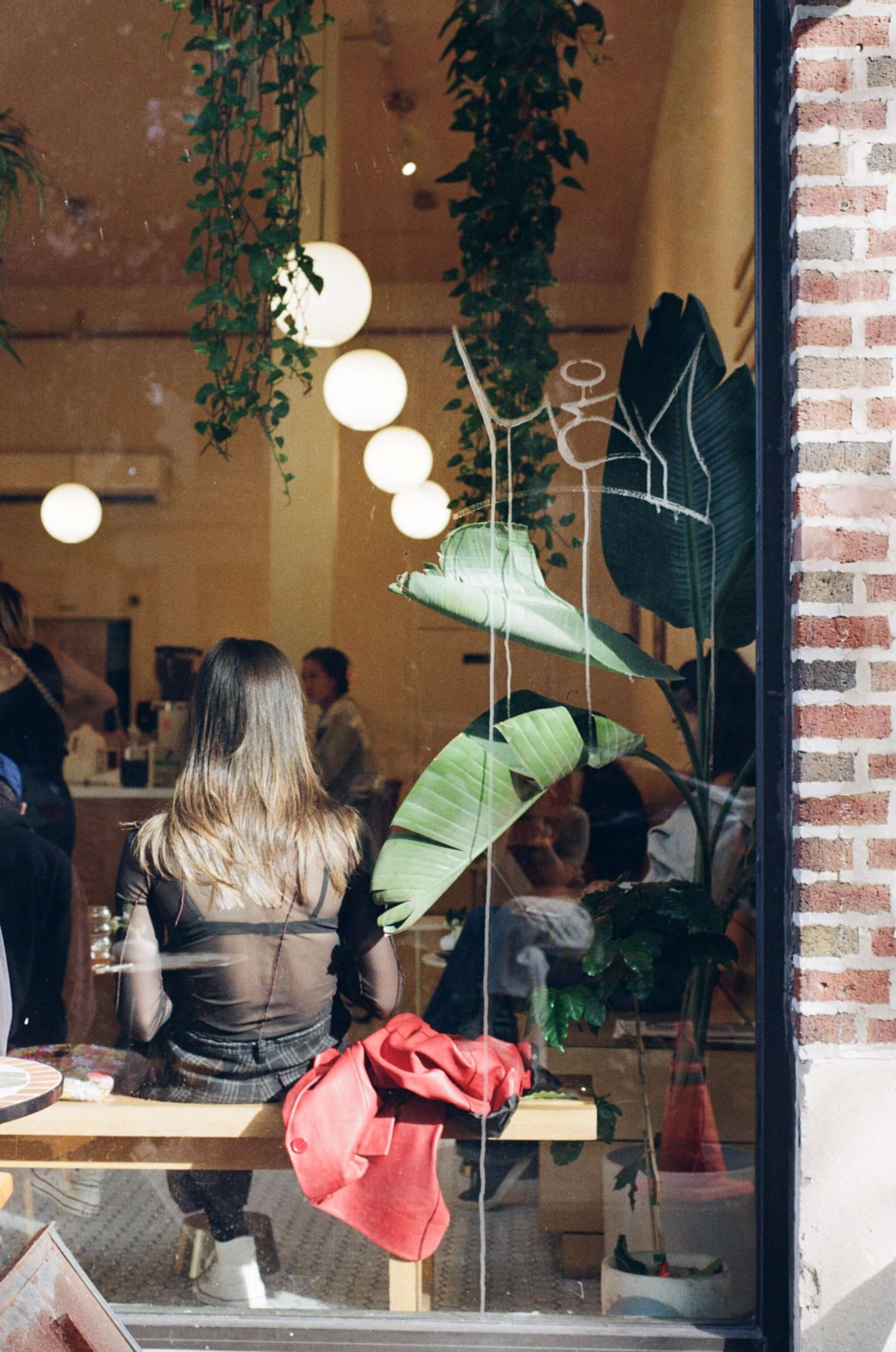 Person seated in a cafe with greenery, shot or captured with Kodak Kodacolor 200 Color Negative Film (35mm, 36 Exposures).