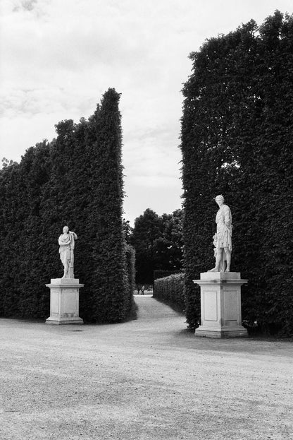 Kentmere Pan 200 Black & White Negative Film (35mm, 36 Exposures) captured statues and hedges in a garden setting.