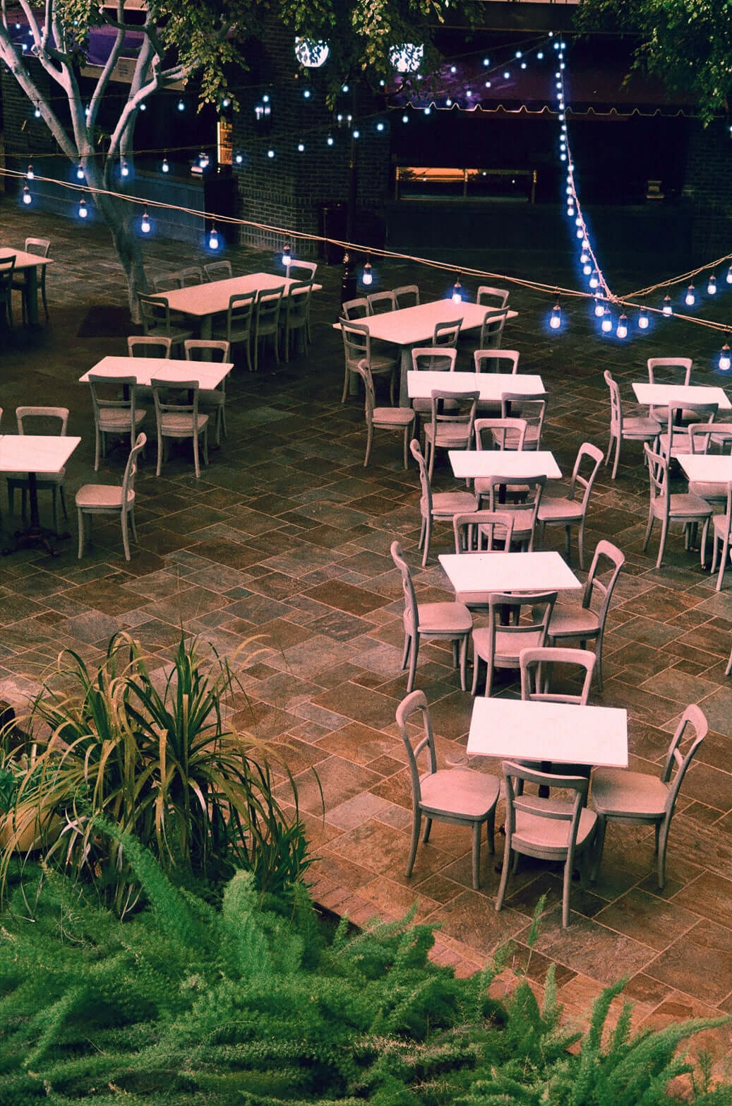 Outdoor seating area with tables and chairs surrounded by greenery and string lights at night shot with Harman Switch Azure 125