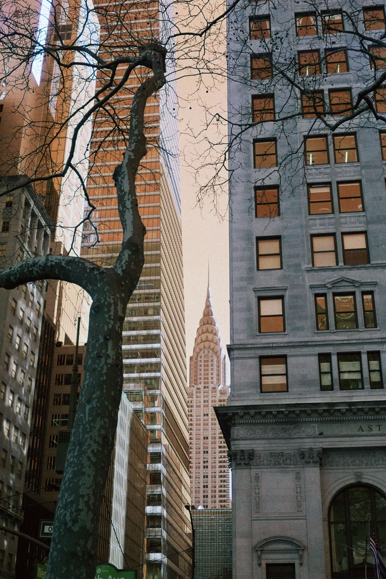 Harman Switch Azure 125 color negative film showcasing view of the Chrysler Building framed by trees and buildings in an urban setting during sunset.
