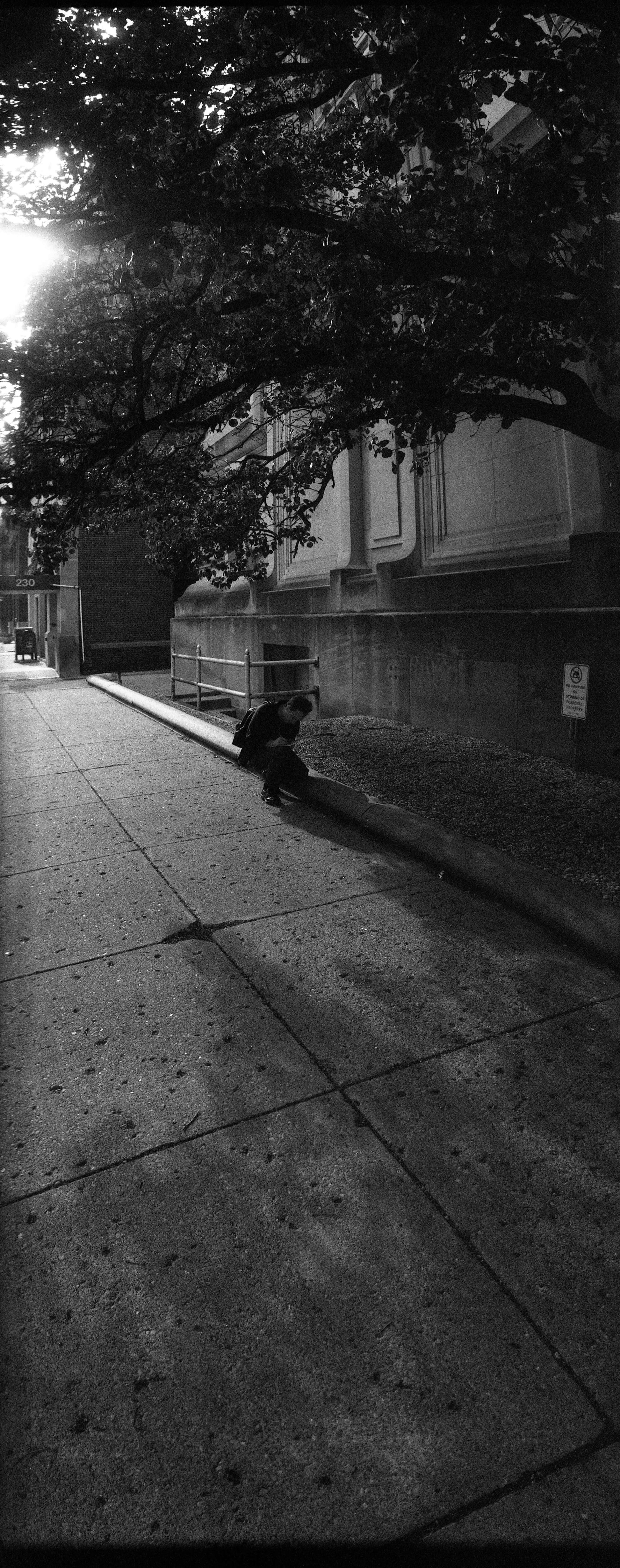 A dramatic black and white photo captured on Flic Film UltraPan 400 Black and White Negative Film (35mm Roll, 36 Exposures).
