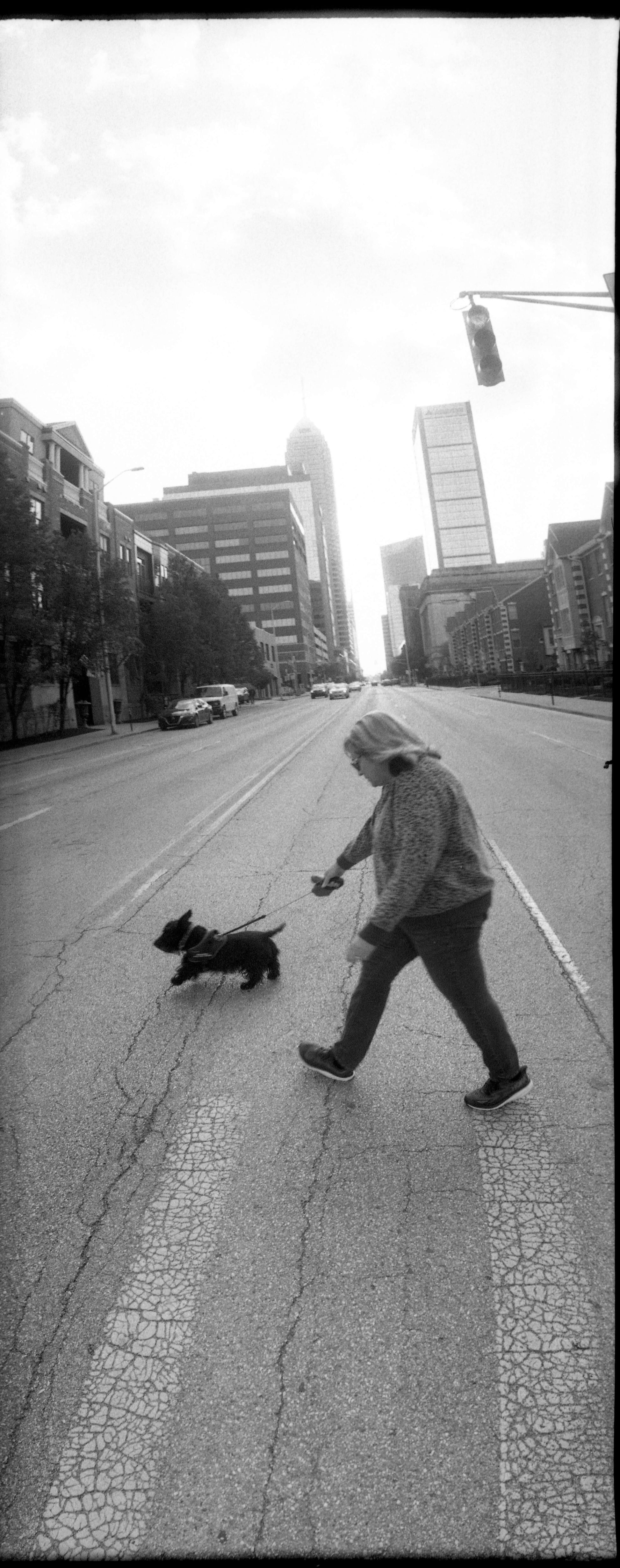 Flic Film UltraPan 400 Black and White Negative Film (35mm Roll, 36 Exposures) photo of a person walking a dog on a city street.