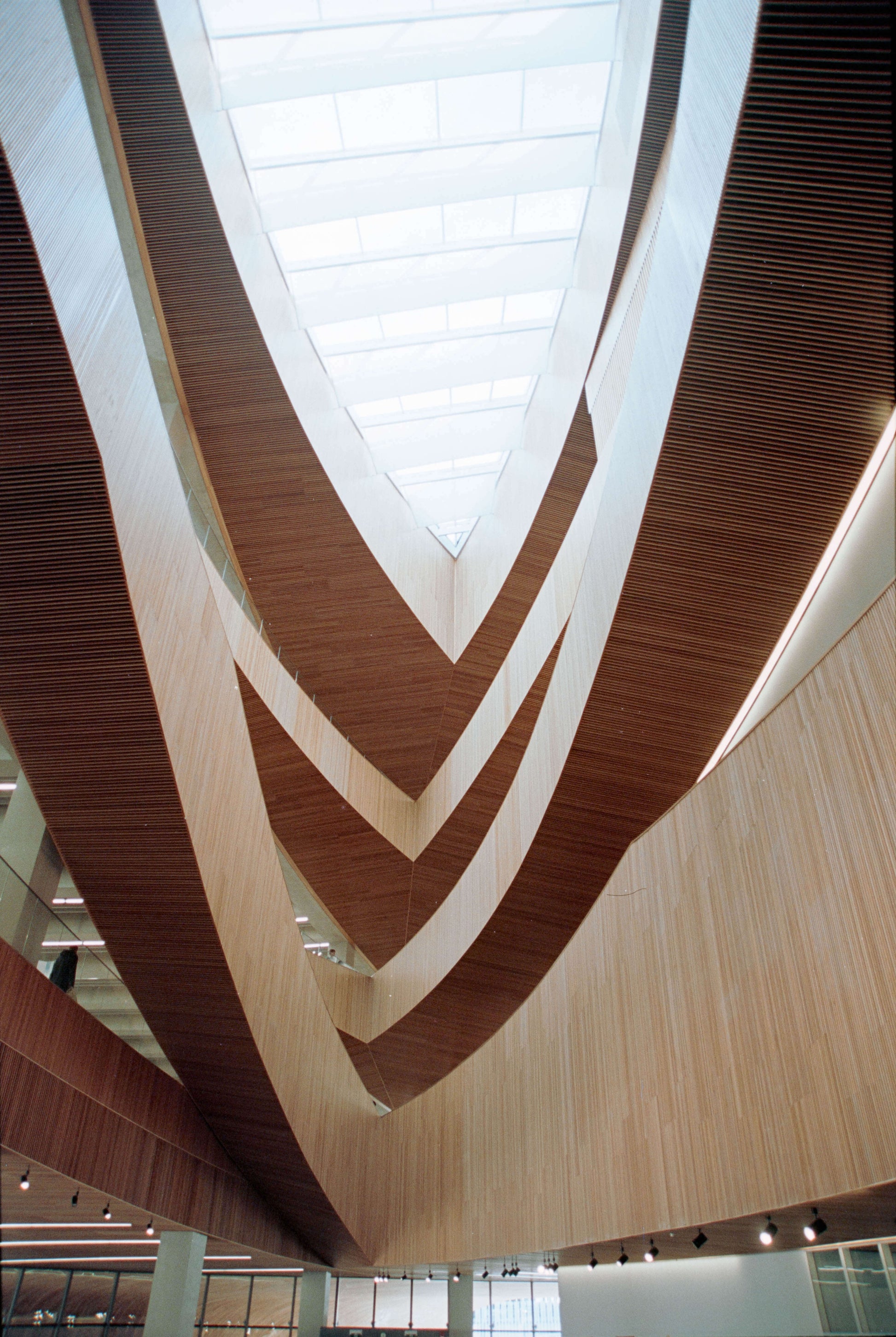Architectural interior view showcasing curved wooden elements and natural light in a modern building design, shot on Flic Film Elektra 100
