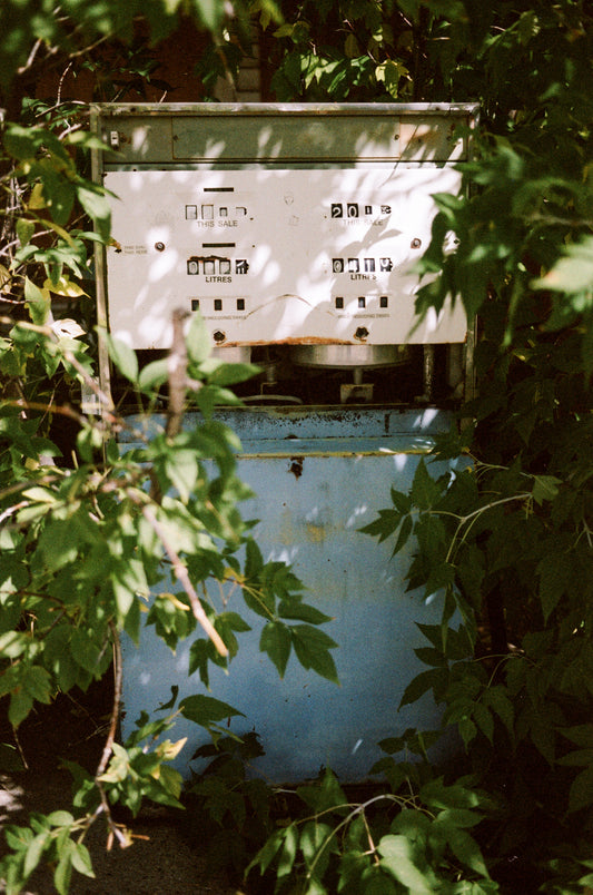 Flic Film Nostalgic 400 Color Negative Film (35mm Roll, 36 Exposures)