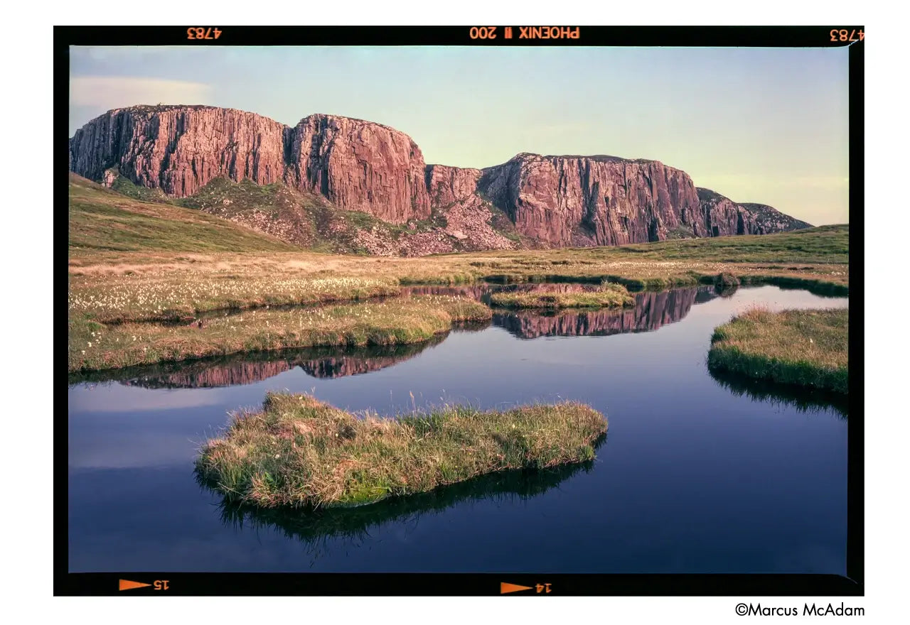 Harman Phoenix II 120 film sample image.