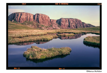 Harman Phoenix II 120 film sample image.