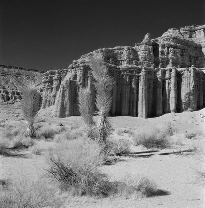 Ilford SFX 200 Black and White Negative Film (35mm Roll, 36 Exposures) capturing surreal desert landscape with dramatic contrasts.