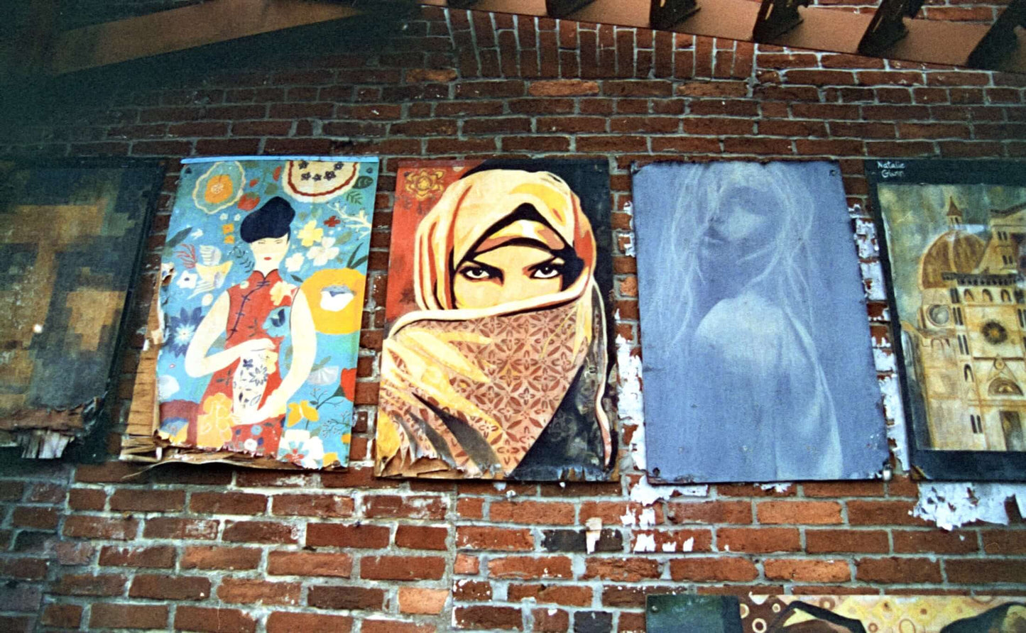 Harman Phoenix 200 Color Negative Film (35mm Roll, 36 Exposures) sample product photo showcase with brick wall and colorful artwork