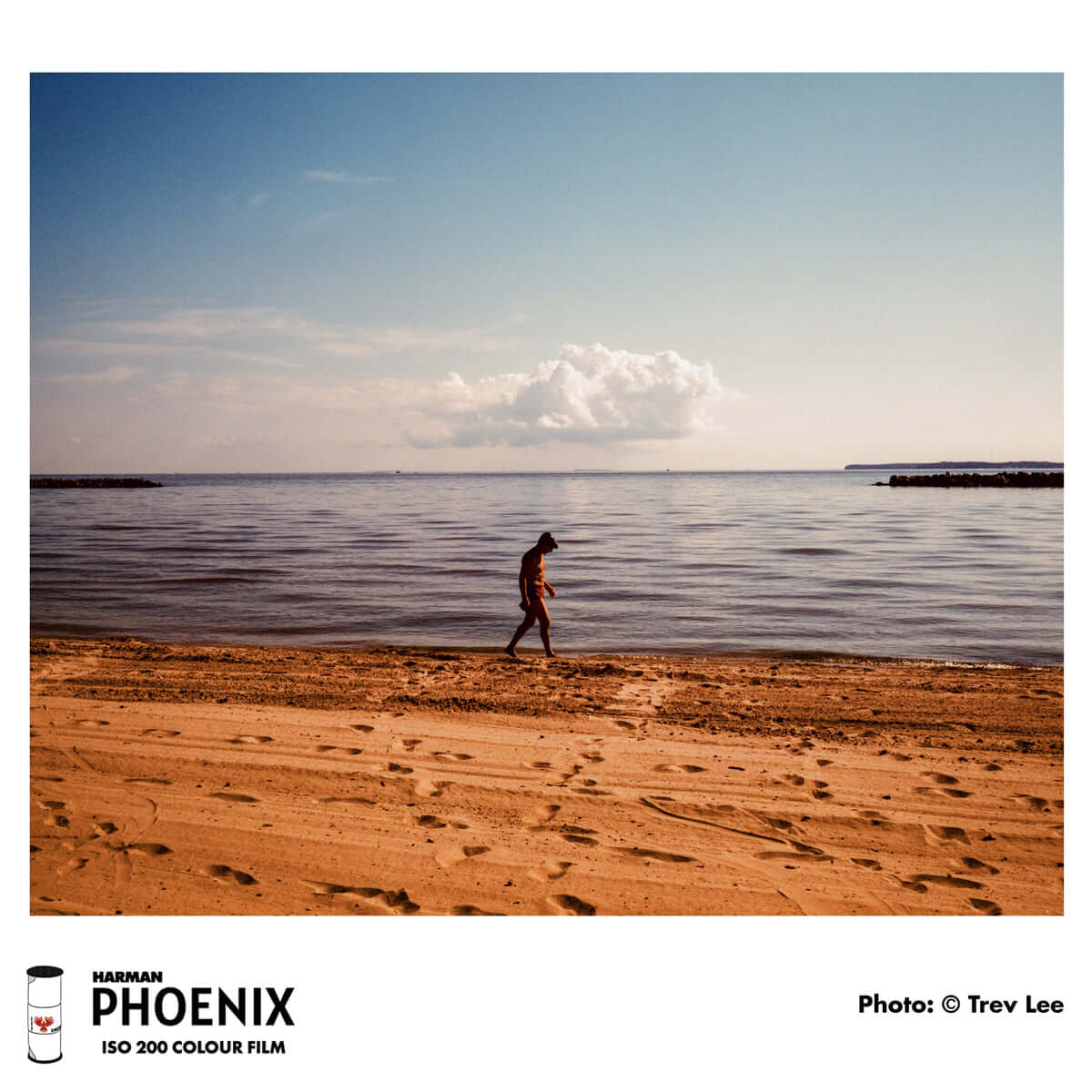 Harman Phoenix 200 Color Negative Film (120 Roll Film) photo of a person walking on the beach.
