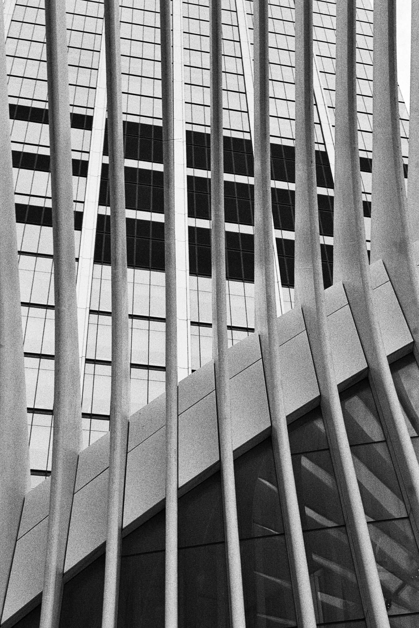 Kodak Tri-X 400 Single-Use Camera (27 Exposures) capturing modern architecture in black and white monochrome.