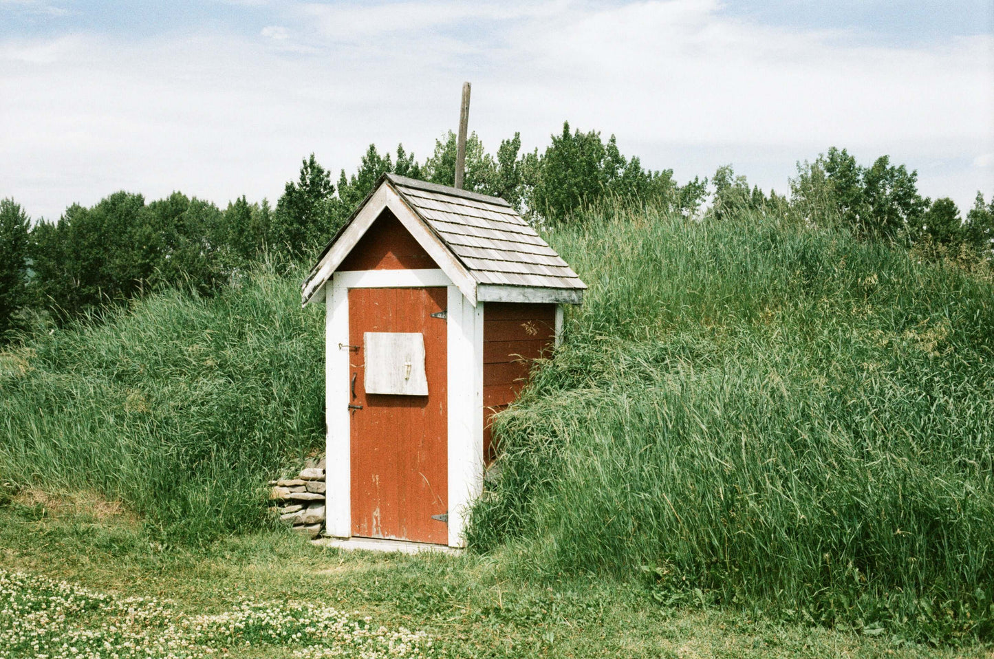 Street Candy Tasty 200 color negative film photo of a rustic red shed surrounded by tall grass.