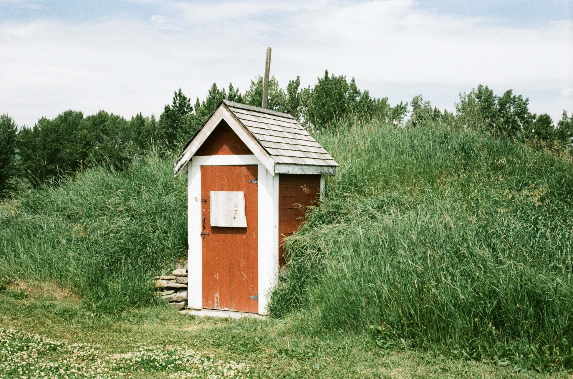 Street Candy Tasty 200 color negative film photo of a rustic red shed surrounded by tall grass.