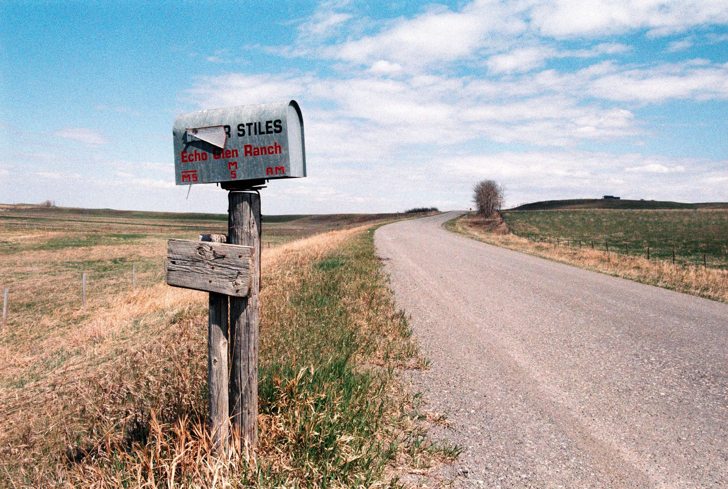 Street Candy Tasty 200 color negative film photo of Echo Glen Ranch mailbox along a country road.