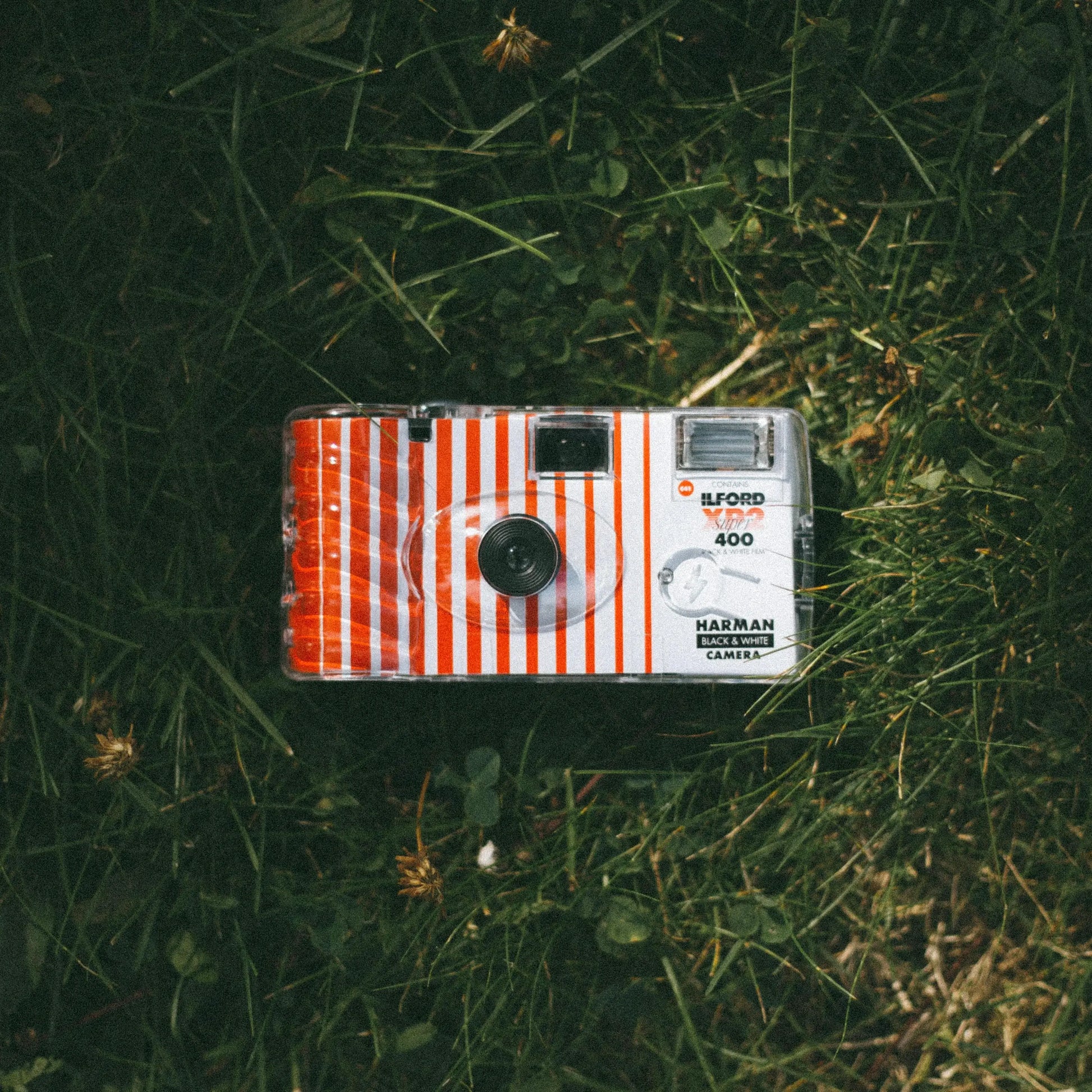 harman XP2 disposable camera in grass