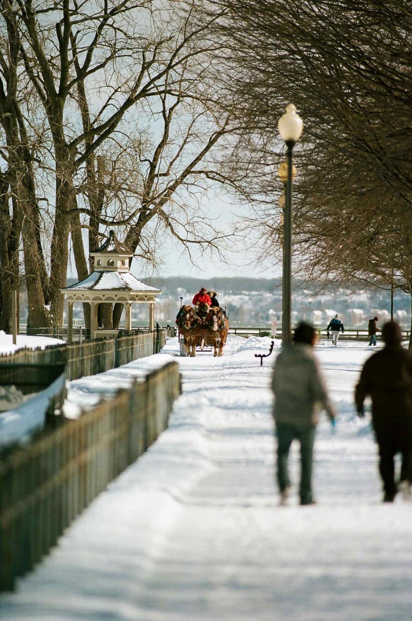Horse-drawn carriage in snow-covered park with people walking along path near trees and lamps.
