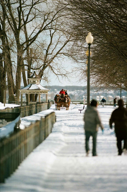 Horse-drawn carriage in snow-covered park with people walking along path near trees and lamps.