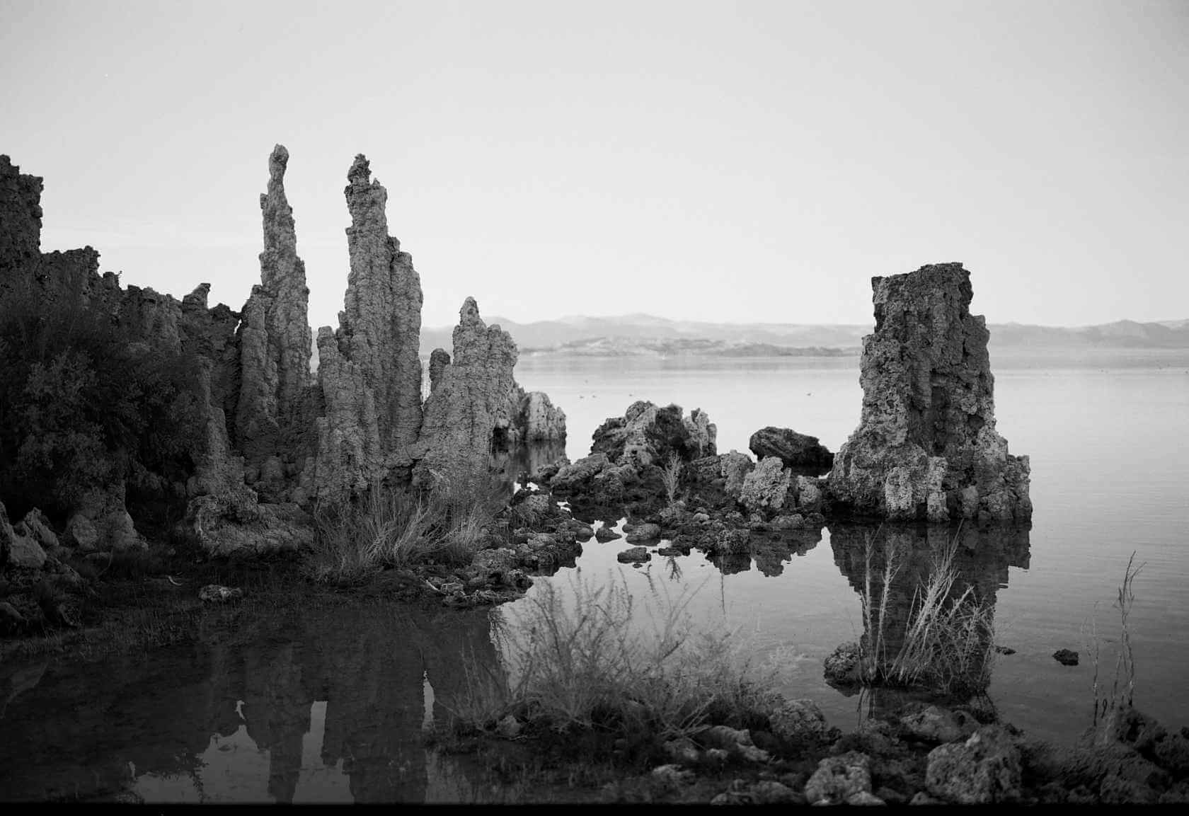Kodak Ektapan 100 Black and White Negative Film image of rock formations by water in monochrome.