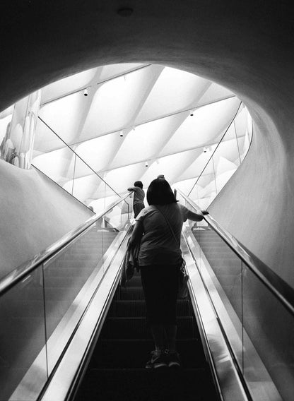Kodak Ektapan P3200 Black & White Negative Film (35mm, 36 Exposures) in low light stairway setting.