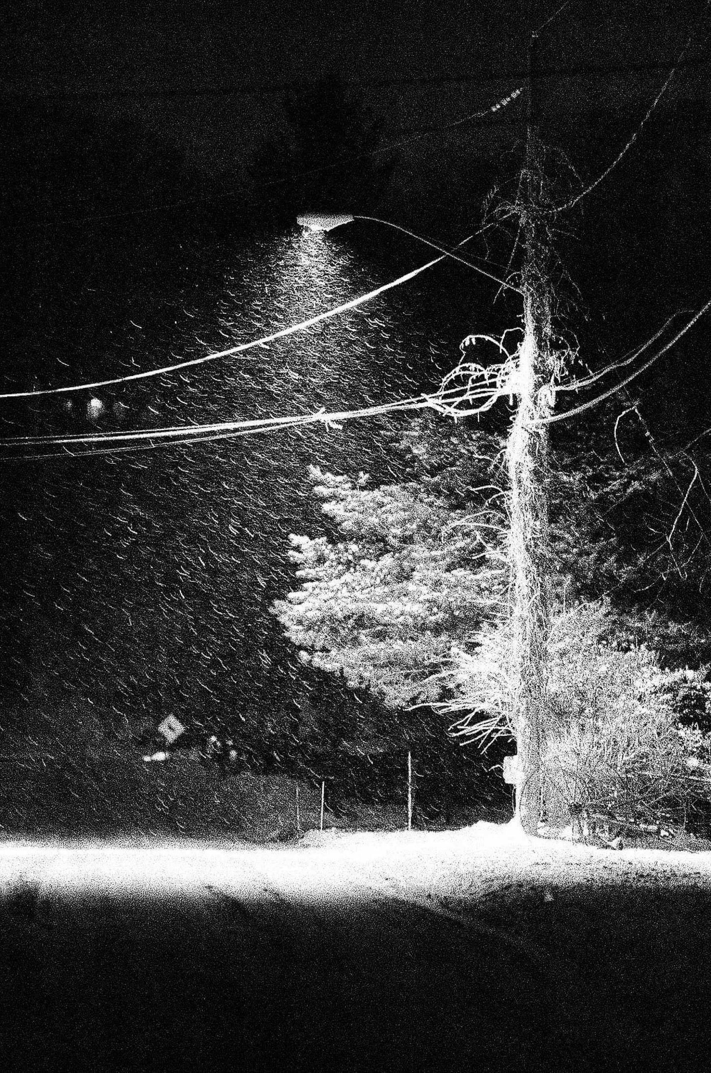 Night scene captured on Kodak Ektapan P3200 Black & White Negative Film (35mm, 36 Exposures) with heavy snow.
