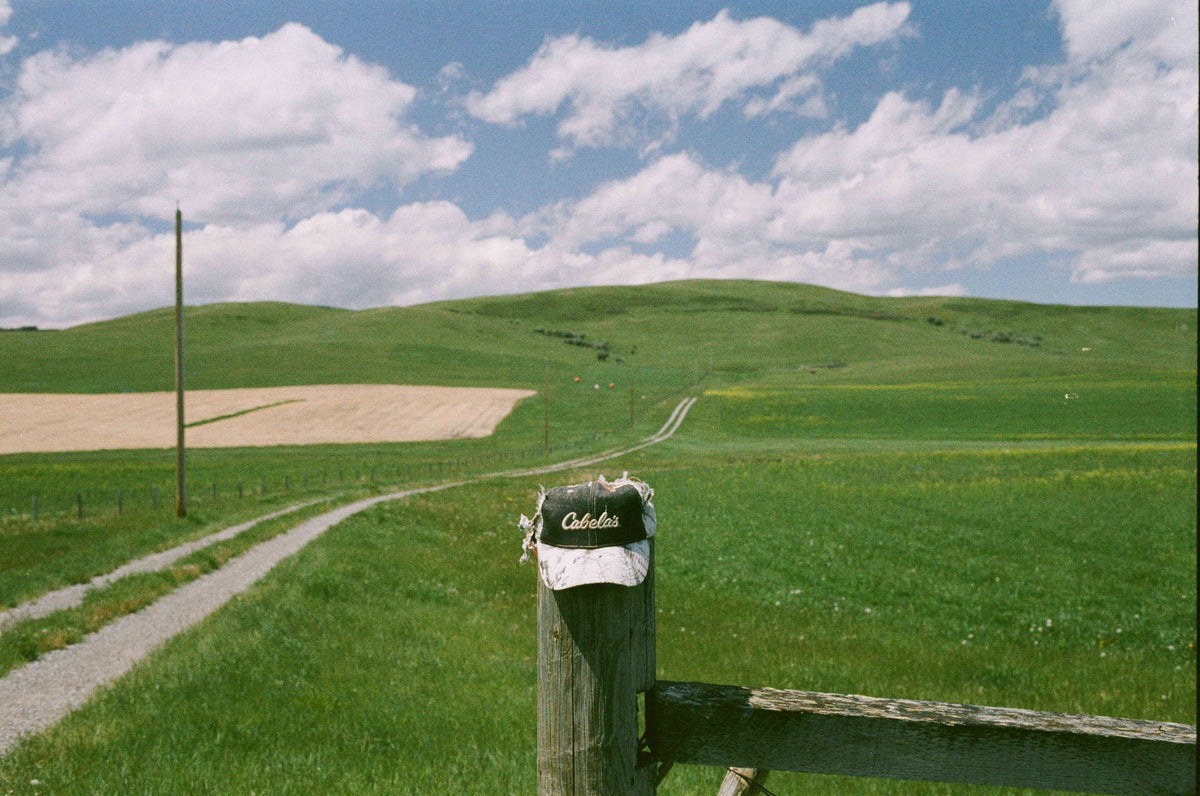 Flic Film Fusion 200 vibrant color film photo of a countryside scene featuring a cap on a post, with rolling green hills and a dirt path under a blue sky.