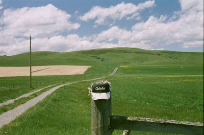 Flic Film Fusion 200 vibrant color film photo of a countryside scene featuring a cap on a post, with rolling green hills and a dirt path under a blue sky.