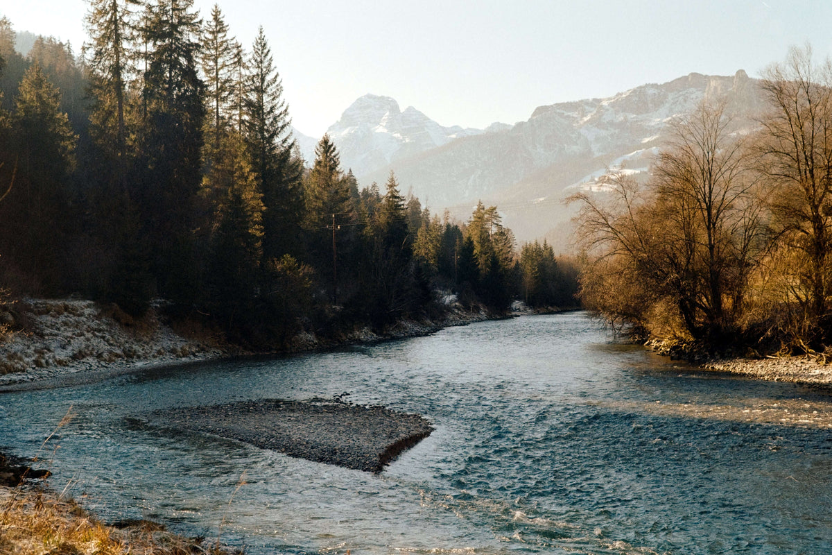 Scenic view of a river winding through trees and mountains, capturing natural beauty in soft light, shot on Kodak Eastman UltraMax 400